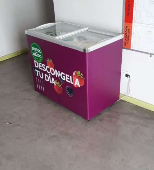 IMPLEMENTACIÓN DE GRÁFICA FRUTOS DEL MAIPO MIDAS (10)