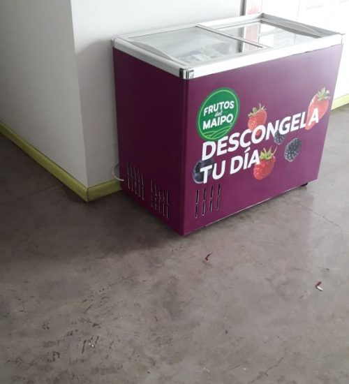 IMPLEMENTACIÓN DE GRÁFICA FRUTOS DEL MAIPO MIDAS (11)