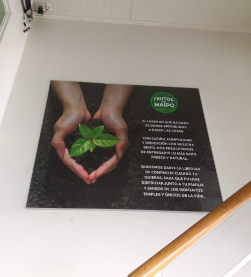 IMPLEMENTACIÓN DE GRÁFICA FRUTOS DEL MAIPO MIDAS (3)