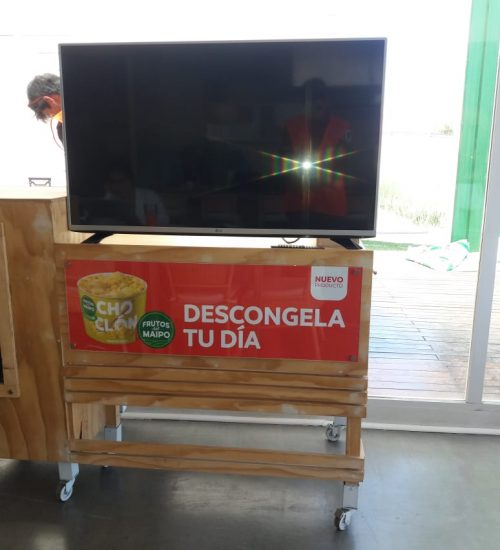 IMPLEMENTACIÓN DE GRÁFICA FRUTOS DEL MAIPO MIDAS (4)