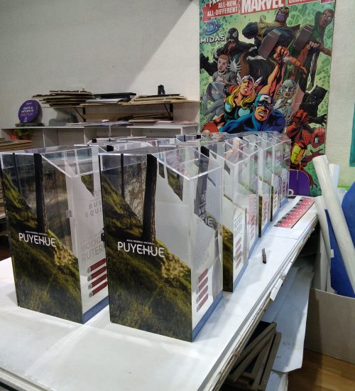 PUYEHUE BUZONES EN ACRILICO CON GRÁFICA midas (18)