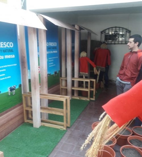fabricacion stand plegable colun midasltm (4)