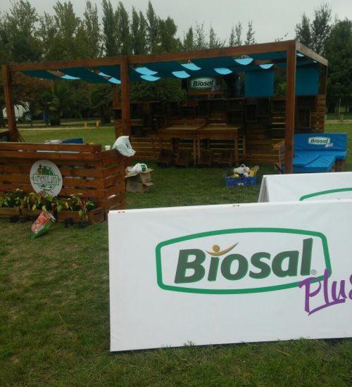 BIOSAL midas (4)